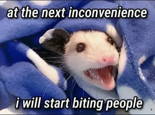 A photo of a young opossum bundled in a blue towel, mouth open, captioned “at the next inconvenience i will start biting people”