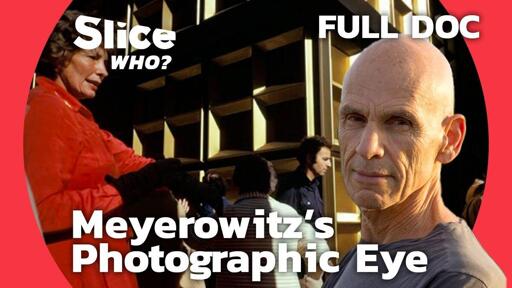 Joel Meyerowitz