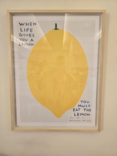 When Life Gives you a Lemon ...