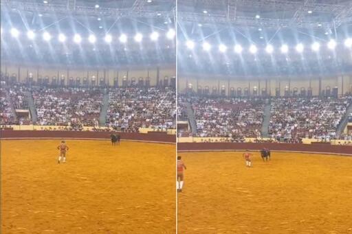 Immagine della corrida