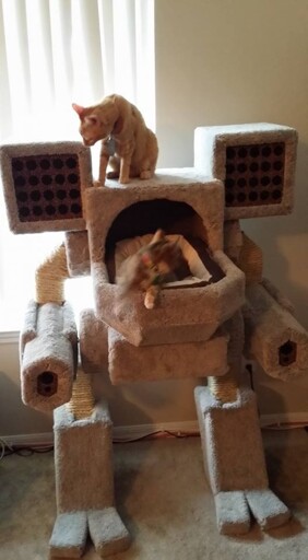 meow warrior