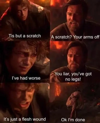 tis but a scratch