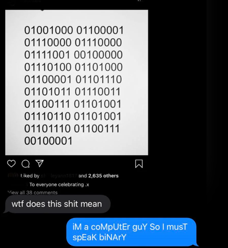A text message exchange, the first message has a screenshot of an instagram post with binary code in the image. the message has the text "wtf does this shit mean". It has a reply saying "iM a coMpUtEr guY So I musT spEaK biNArY"